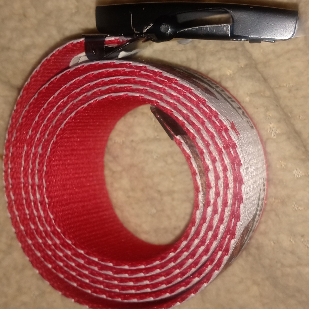 California Belt - Picture 3 of 3